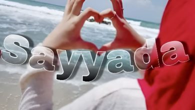 MrDot DG – Sayyada artwork